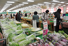 幸田憩の農園