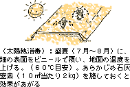 太陽熱消毒